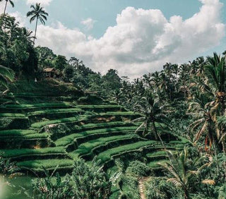 Eco-Talks No 1 : Sustainability in 2020-Mala the Brand